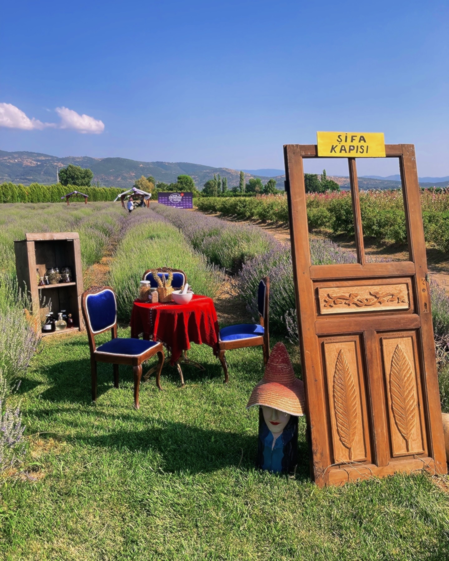 A wooden doorway marked Şifa Kapısı in a lavender field